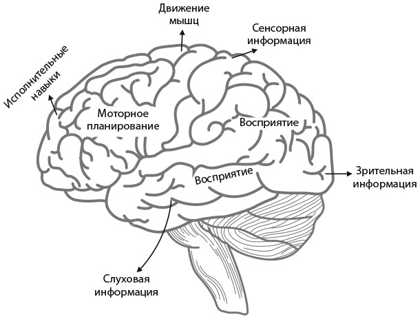Ты можешь сам! (ЛП) - i_007.jpg