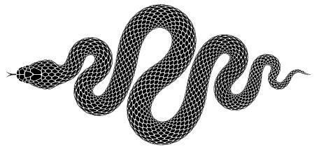 Королевы и монстры. Яд - img7587.jpg