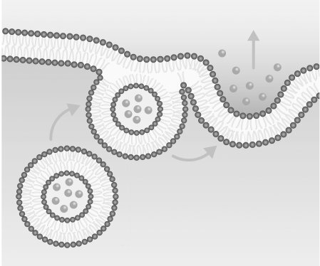 Биология для тех, кто ищет ответы в природе - imgf9b5d455e8ef4464bffbf712603e62b1.jpg