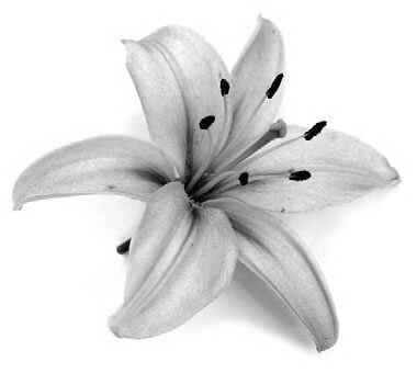 Главные романы Колин Гувер. Комплект из 3 книг - i_002.jpg