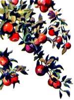 Сказка о военной тайне, о Мальчише-Кибальчише и его твёрдом слове (худ. Ю. Рейнер) - _003.jpg