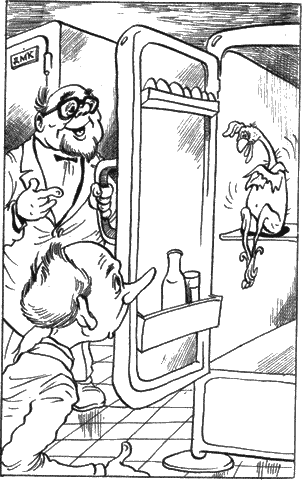 Детская библиотека. Том 26 - i_077.png