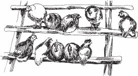 Птицеводство для начинающих. Полный справочник - _02.jpg