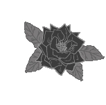 Тысяча шагов в ночи - i_018.jpg