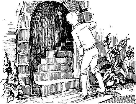 Норби и Старейшая Драконица. Норби и придворный шут - pict_046.png