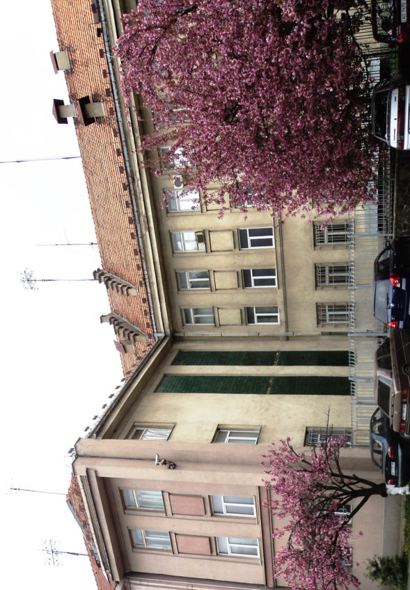 Правительственная связь в Закарпатье. История спецсвязи - i_022.jpg