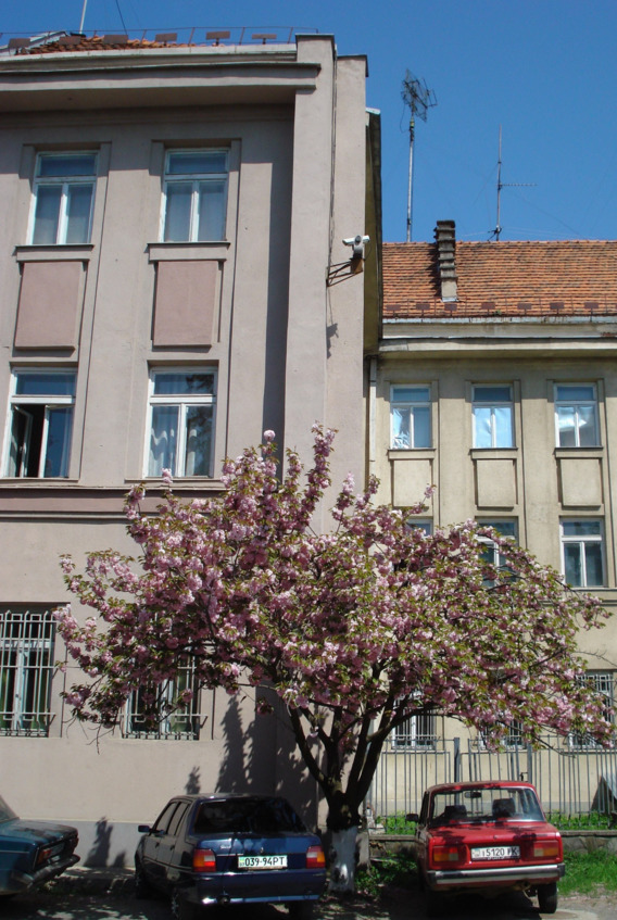 Правительственная связь в Закарпатье. История спецсвязи - i_053.jpg