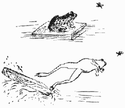 Ракеты и полеты в космос - _10.png