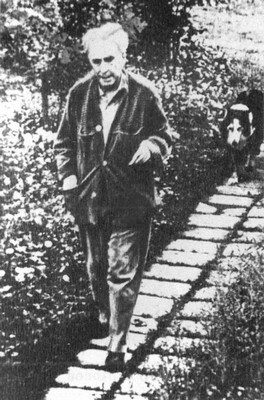 Верность сердцу и верность судьбе. Жизнь и время Ильи Эренбурга - i_016.jpg