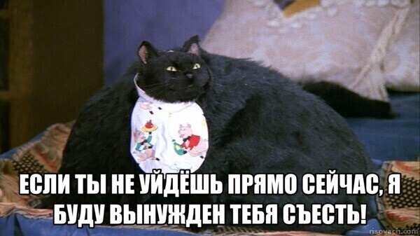 Салем кот Поттера (СИ) - img_03.jpg