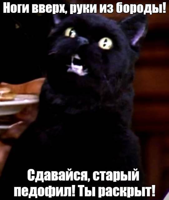 Салем кот Поттера (СИ) - img_04.jpg