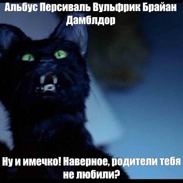 Салем кот Поттера (СИ) - img_05.jpg