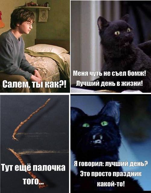 Салем кот Поттера (СИ) - img_10.jpg
