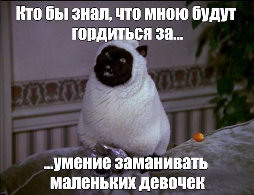 Салем кот Поттера (СИ) - img_12.jpg