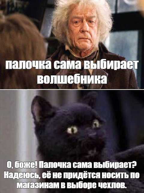 Салем кот Поттера (СИ) - img_17.jpg