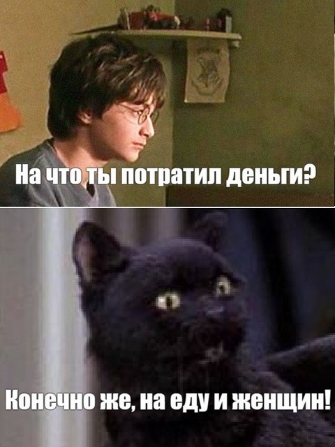 Салем кот Поттера (СИ) - img_18.jpg