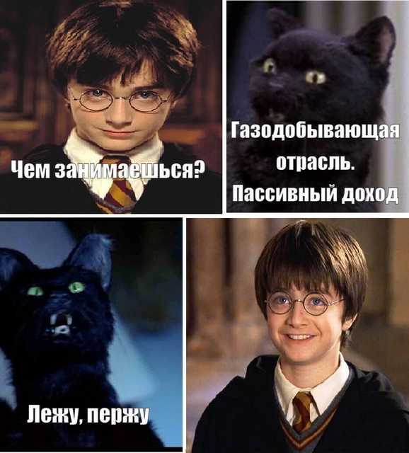 Салем кот Поттера (СИ) - img_19.jpg