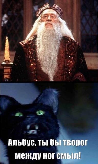 Салем кот Поттера (СИ) - img_212.jpg