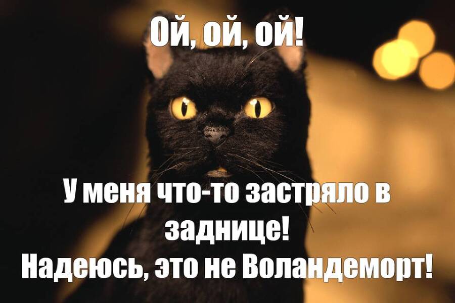 Салем кот Поттера (СИ) - img_252.jpg