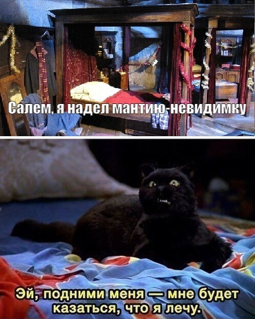 Салем кот Поттера (СИ) - img_272.jpg