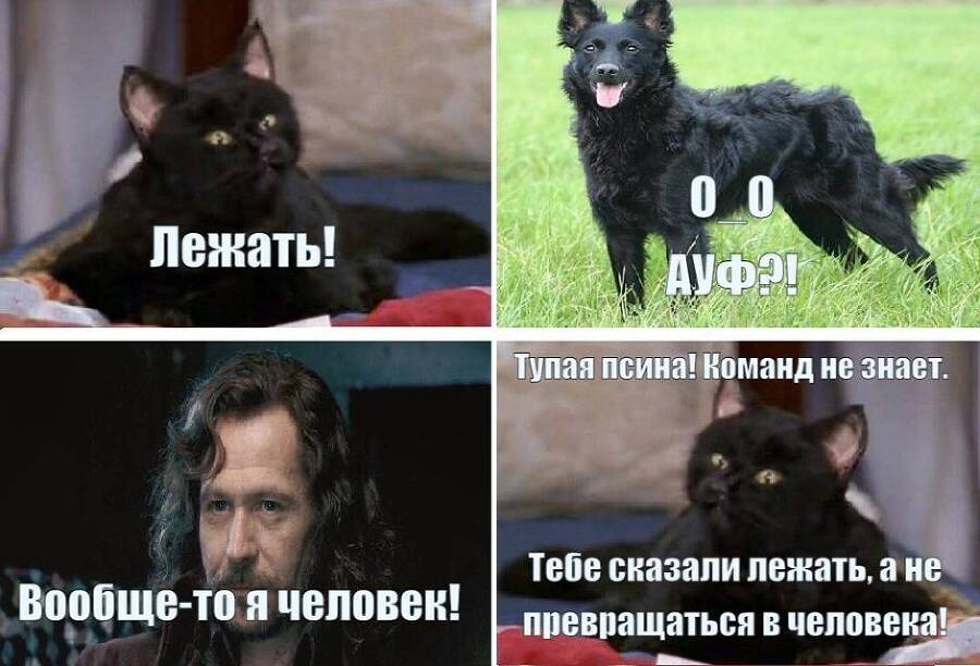 Салем кот Поттера (СИ) - img_28.jpg