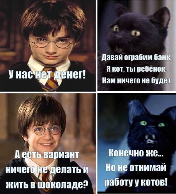 Салем кот Поттера (СИ) - img_29.jpg