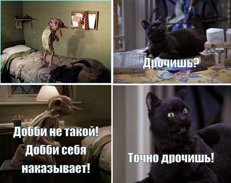 Салем кот Поттера (СИ) - img_301.jpg