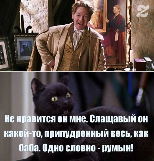 Салем кот Поттера (СИ) - img_311.jpg
