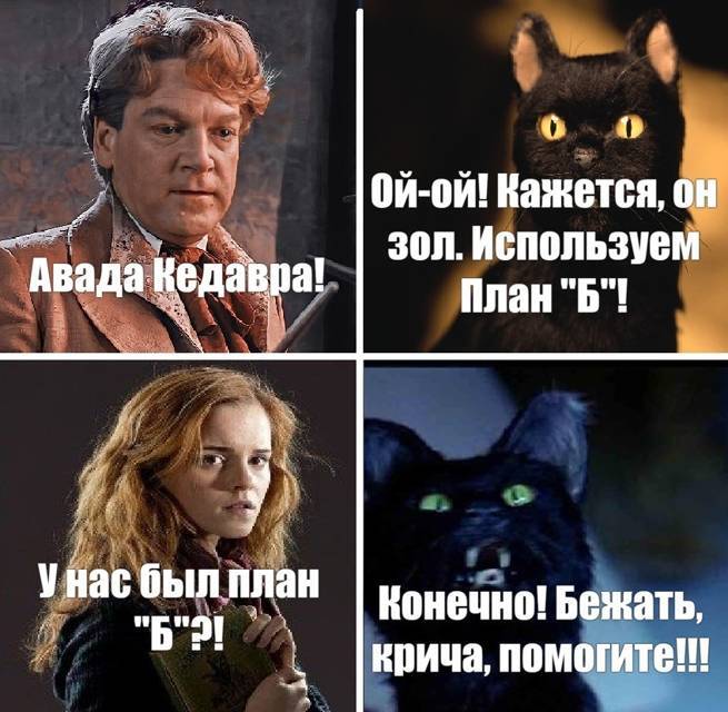 Салем кот Поттера (СИ) - img_32.jpg