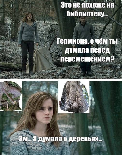 Салем кот Поттера (СИ) - img_33.jpg