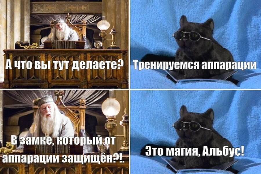 Салем кот Поттера (СИ) - img_38.jpg