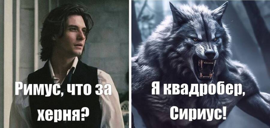 Салем кот Поттера (СИ) - img_431.jpg