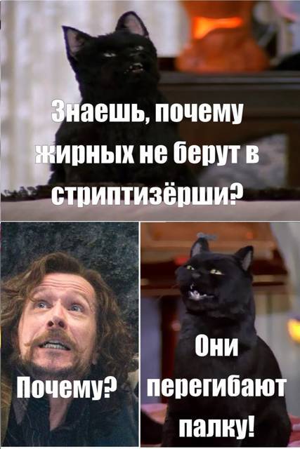 Салем кот Поттера (СИ) - img_521.jpg