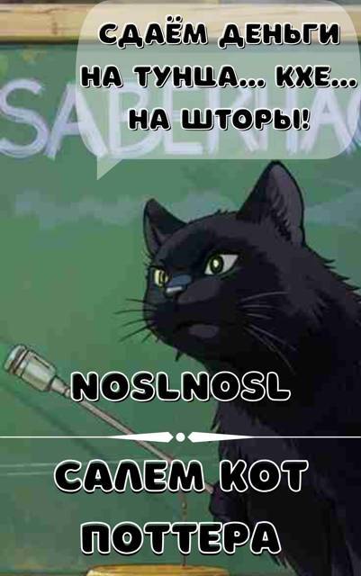 Салем кот Поттера (СИ) - img_551.jpg