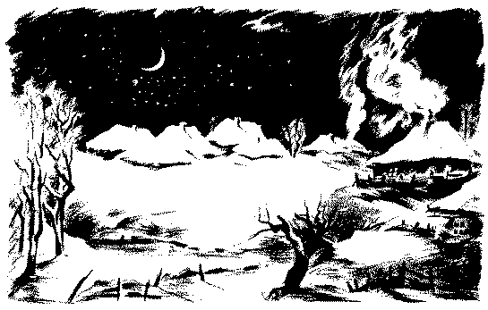 Ночь перед Рождеством (художник Е. Сахновская) - pic_2.png