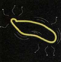 «Наука и Техника» [журнал для перспективной молодежи], 2007 № 02 (9) - _00.jpg_9