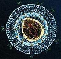 «Наука и Техника» [журнал для перспективной молодежи], 2007 № 02 (9) - _02.jpg_8