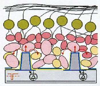 «Наука и Техника» [журнал для перспективной молодежи], 2007 № 02 (9) - _04.jpg_0