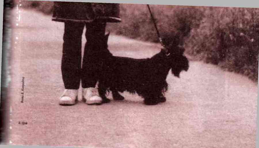 Гремучие скелеты в шкафу Том 2 - i_034.jpg