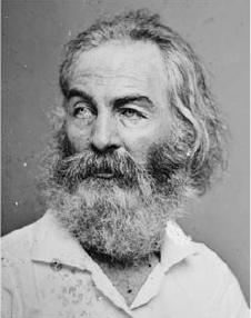 Веселое искусство смерти. Живой Мультиверсум - img_22.png