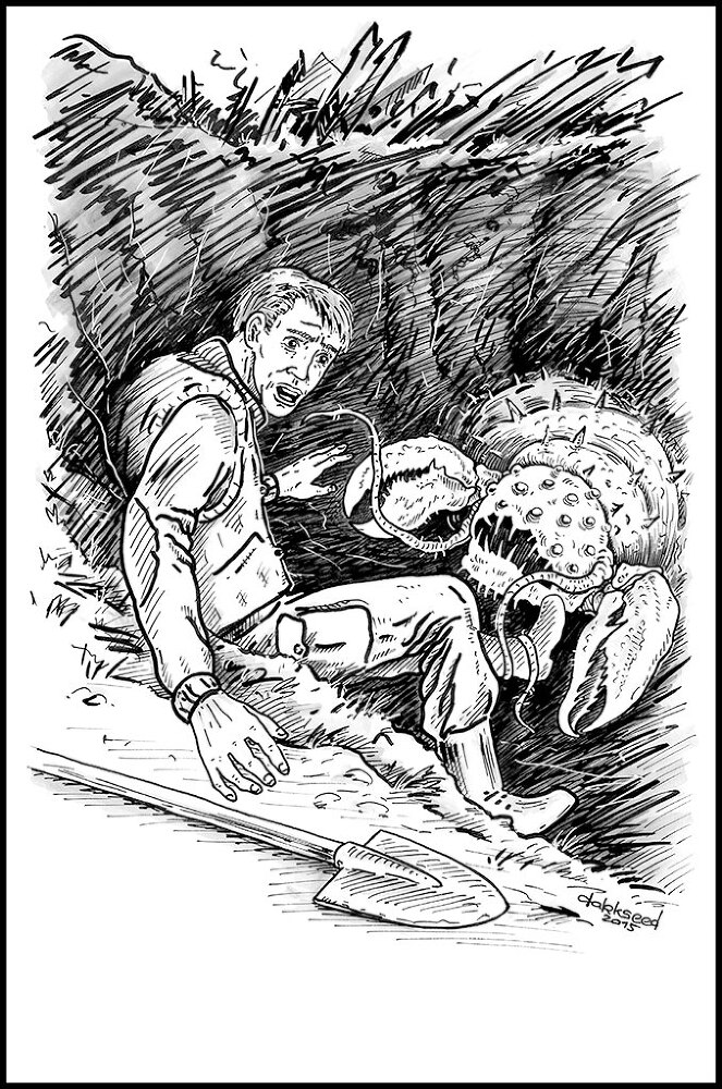 Сборник "Самая страшная книга 2014-2024" (СИ) - i_010.jpg