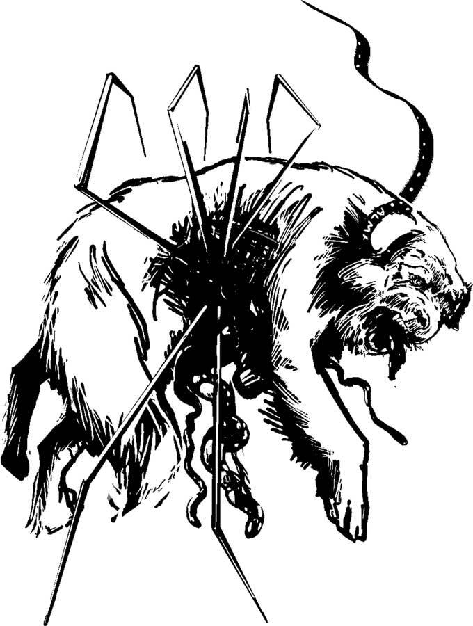 Сборник "Самая страшная книга 2014-2024" (СИ) - i_016.jpg