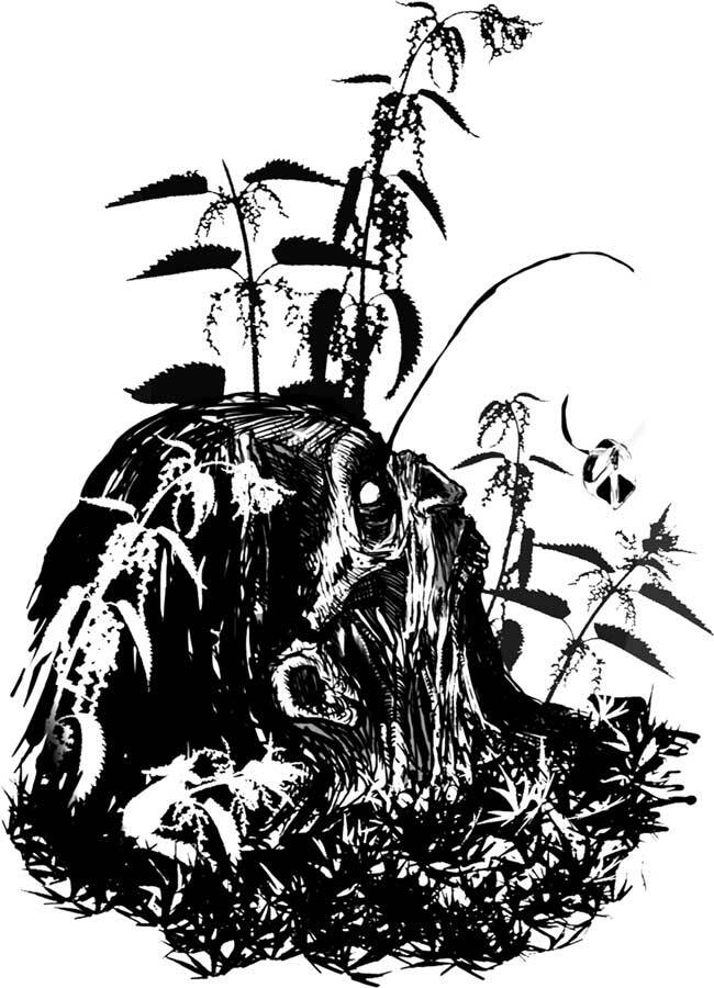 Сборник "Самая страшная книга 2014-2024" (СИ) - i_018.jpg