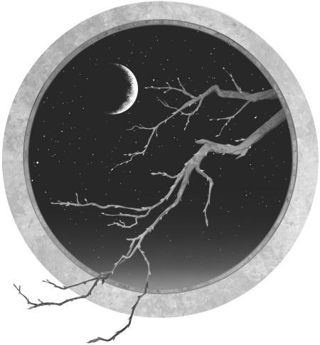 Топить в огне бушующем печали. Том 2 - i_002.jpg