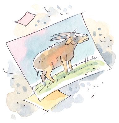 Профессор кислых щей - i_004.jpg