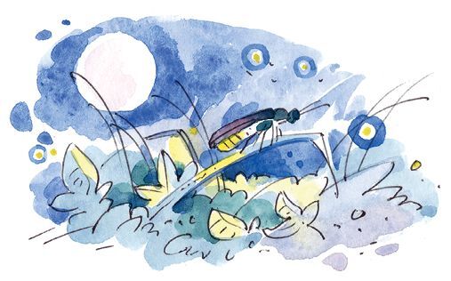 Профессор кислых щей - i_017.jpg