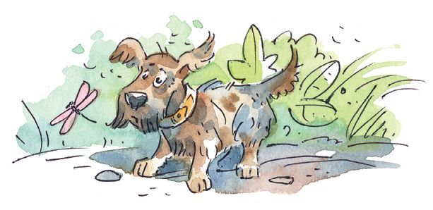 Профессор кислых щей - i_023.jpg