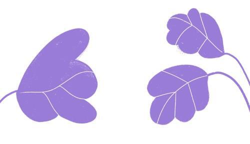 Цвета - i_003.jpg