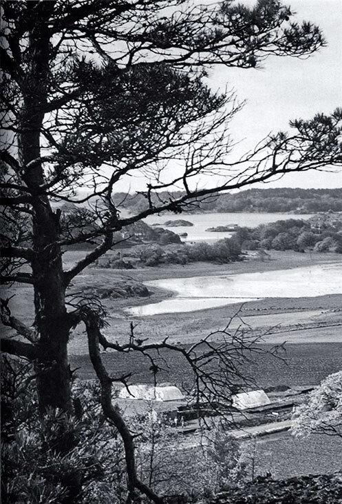 Викинги – люди саги. Жизнь и нравы - i_013.jpg