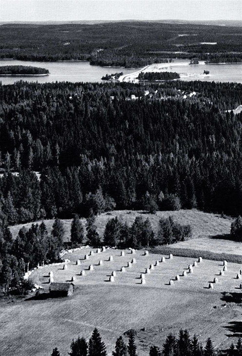 Викинги – люди саги. Жизнь и нравы - i_017.jpg